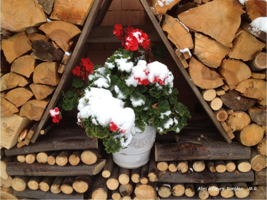 Stella Alpina Bed & Breakfast Rimplas Dış mekan fotoğraf